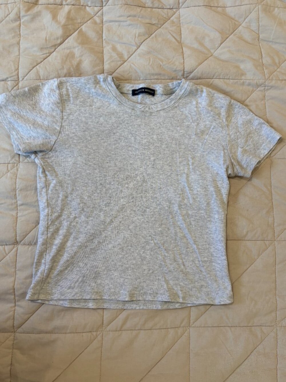 Brandy Melville Heather Gray Fitted Baby Tee Minimalist Y2K